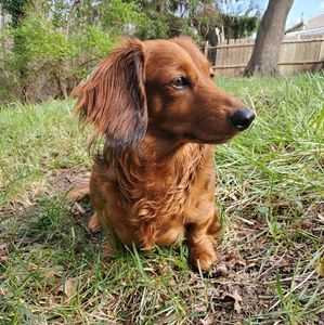 Meet your Posher, Ruby